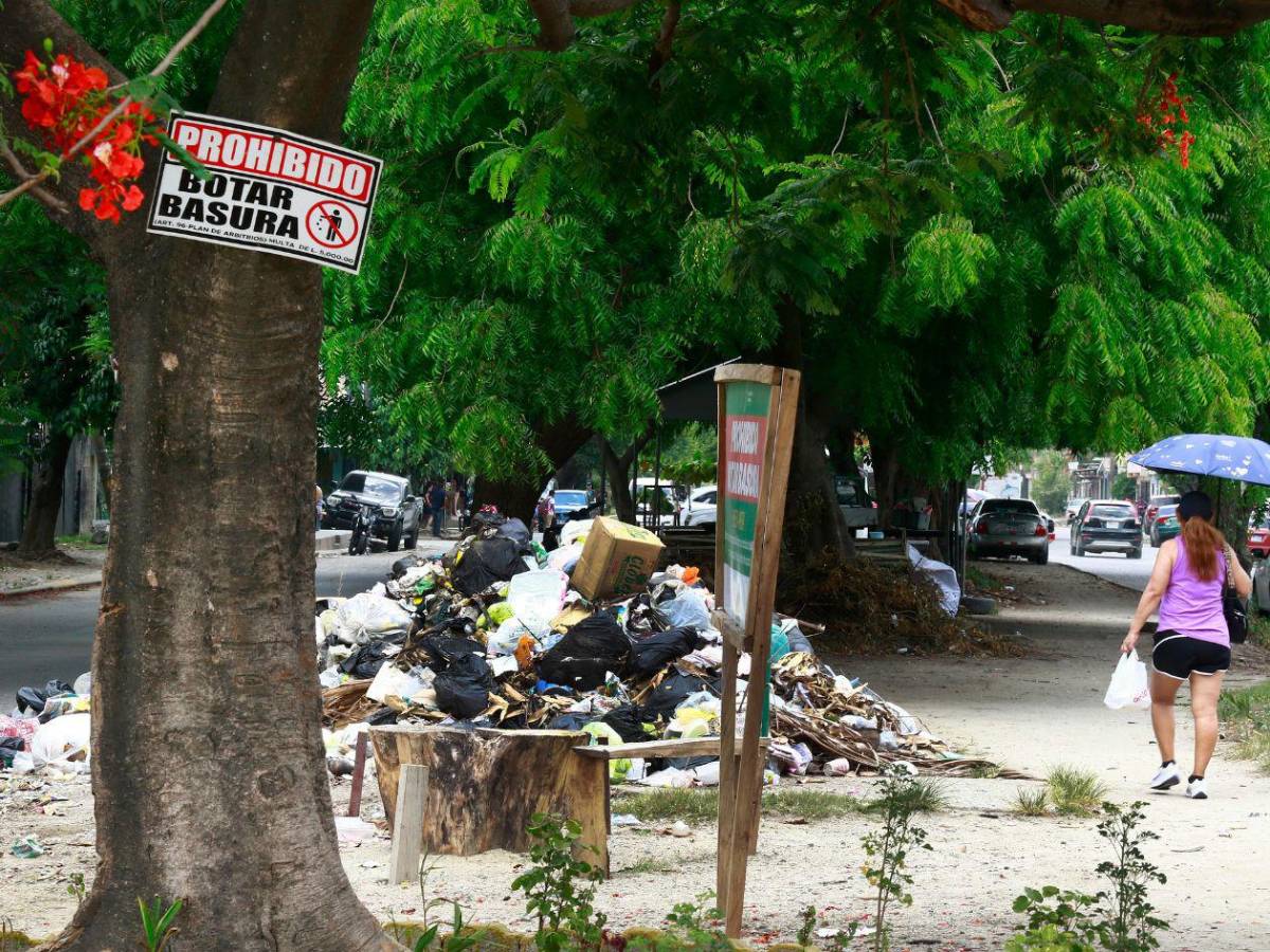 Basura “ahoga a San Pedro Sula, así lucen sus calles