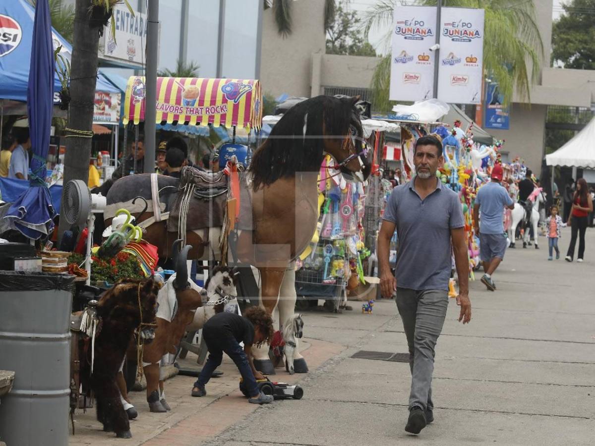 Así iniciaron la Expojuniana y el Agas en San Pedro Sula