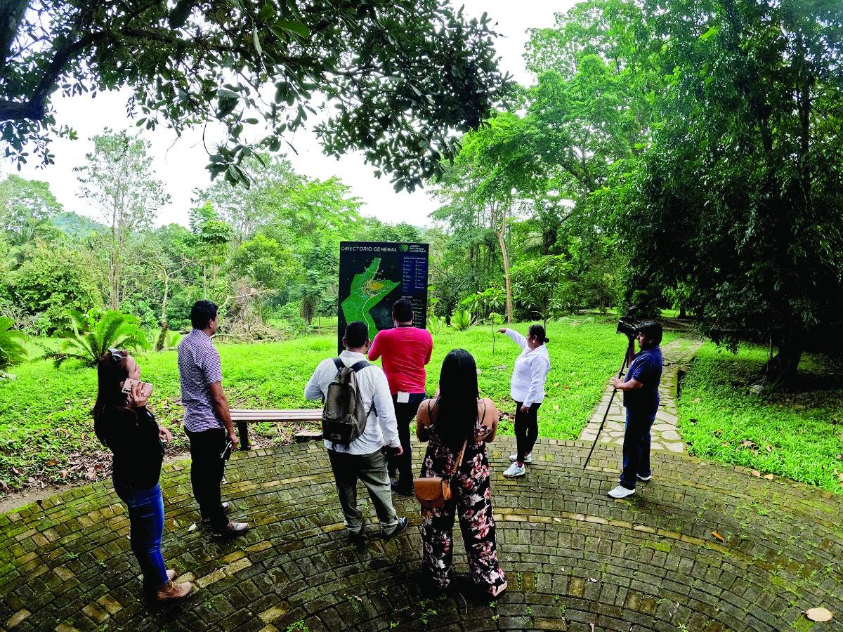 Modernizaron el centro de visitantes y para el próximo año harán mejoras en otras áreas del jardín.
