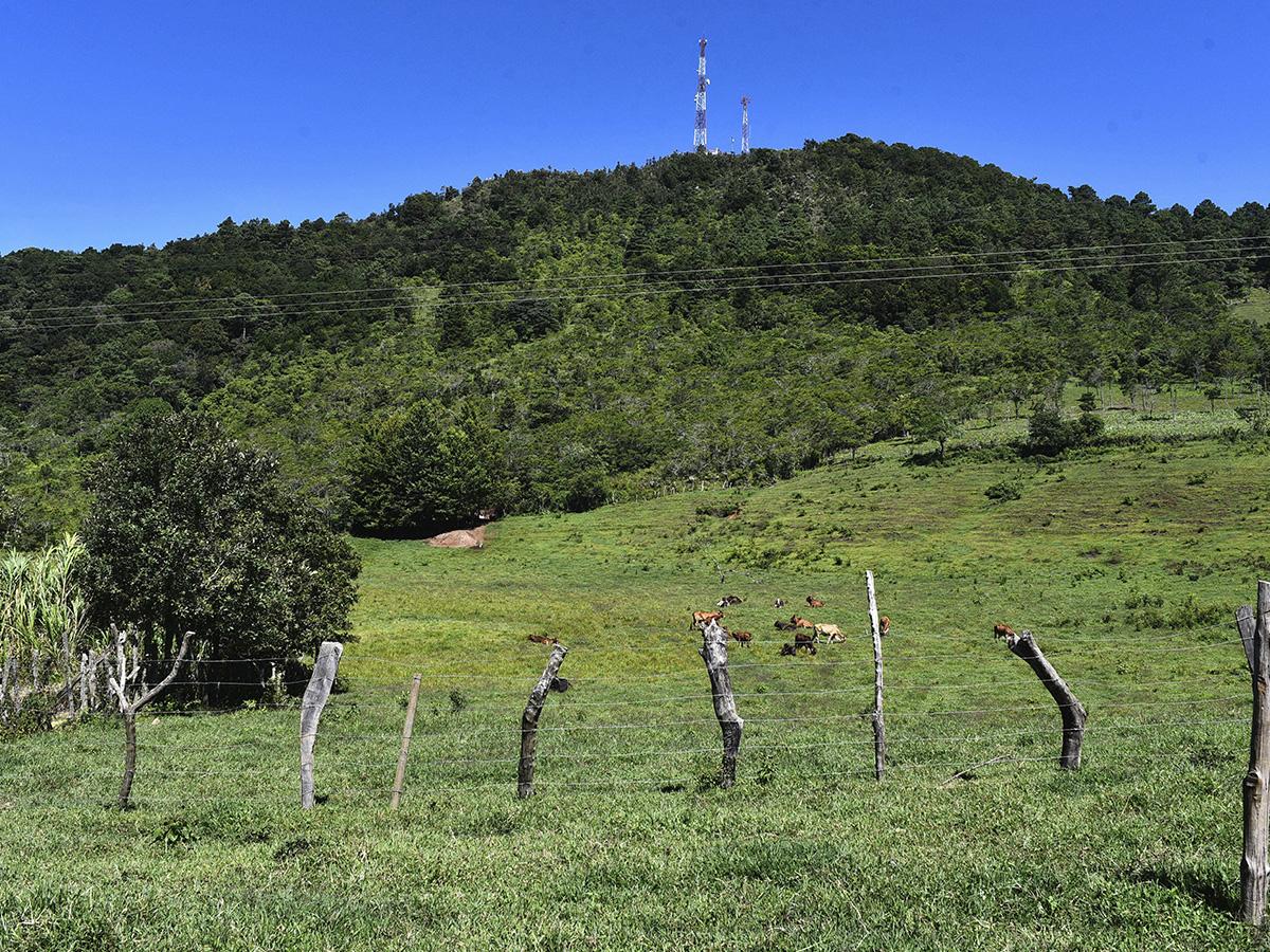 $!Desde el cerro Congolón baja el vital líquido que llega a la escuela Neblinas, donde estudian 122 niños.
