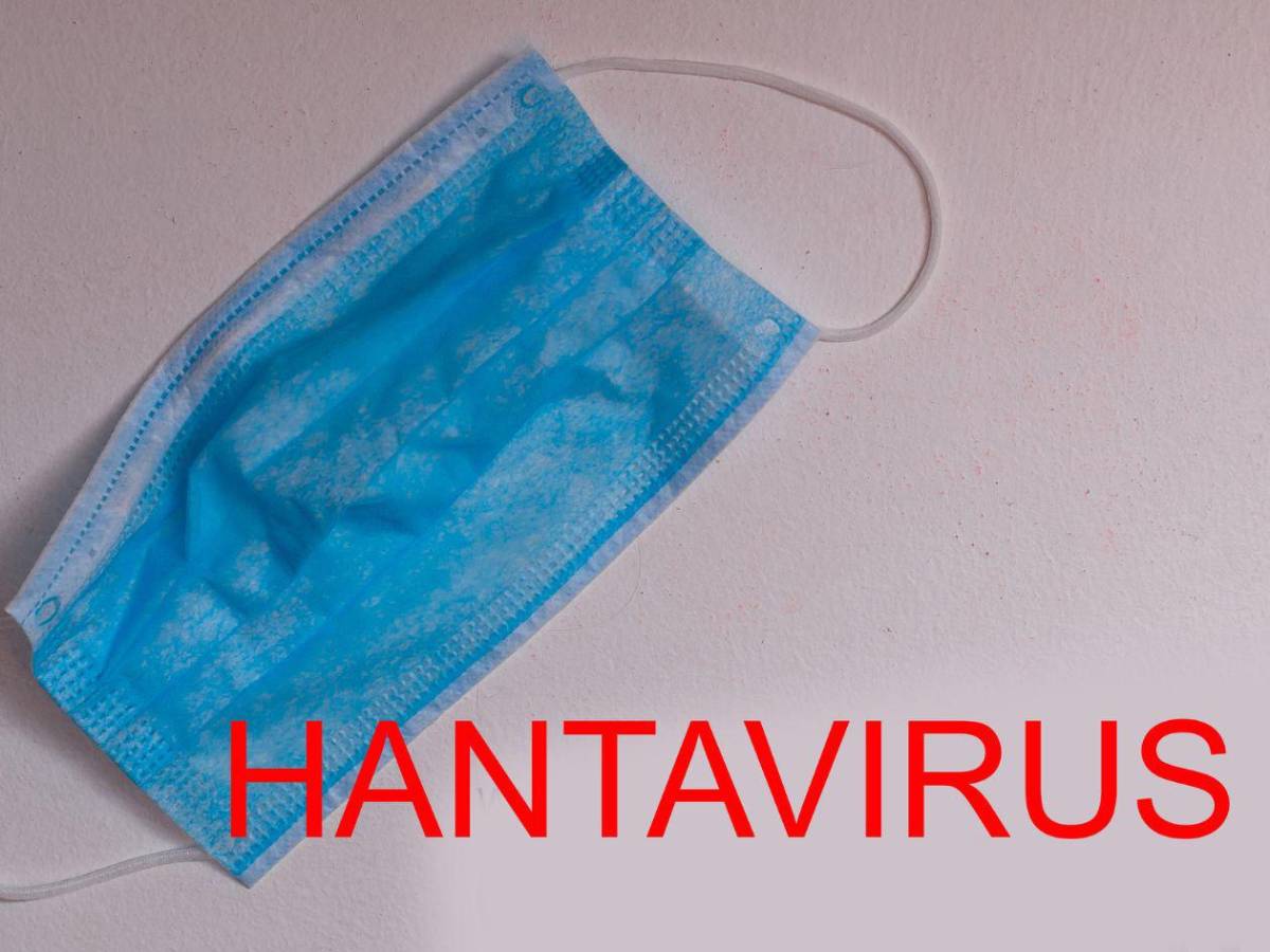 Hantavirus: ¿Qué se sabe de los nueve casos sospechosos?