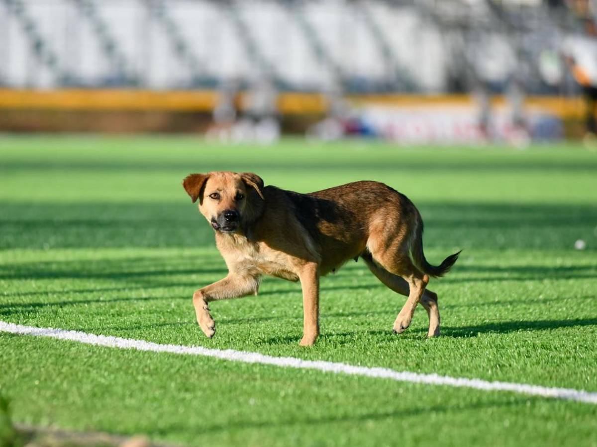 Real España celebra, Juticalpa cabizbajo, inesperado invasor y homenaje