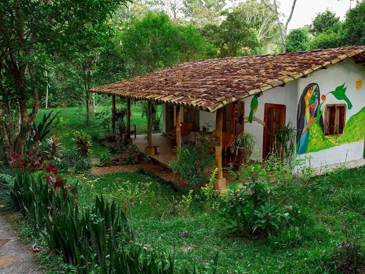 Amaneceres en Ecofinca Luna del Puente, el aroma del café se fusiona con la frescura del Parque Nacional Cerro Azul Meámbar.