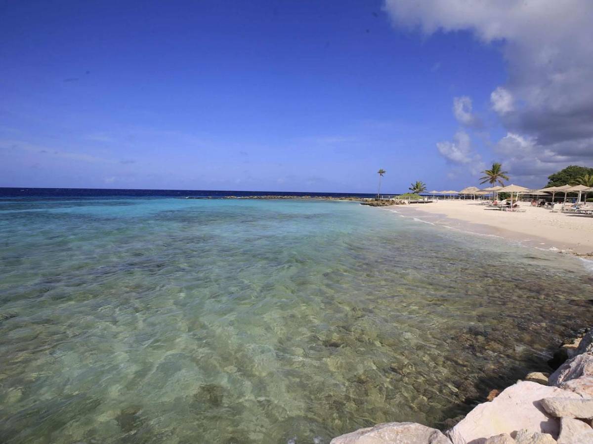 Así es el lujoso hotel donde estará Honduras en Curazao: el precio de cada habitación