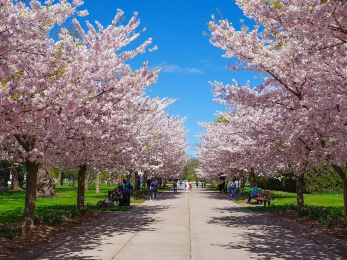 Sede del Mundial 2026 se le rebela a Donald Trump: Toman decisión sobre el ICE