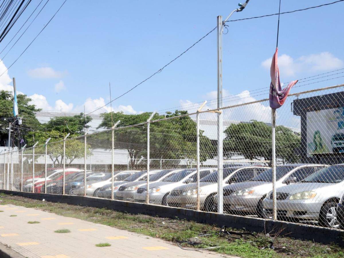 Importación de vehículos: un negocio en auge en Honduras