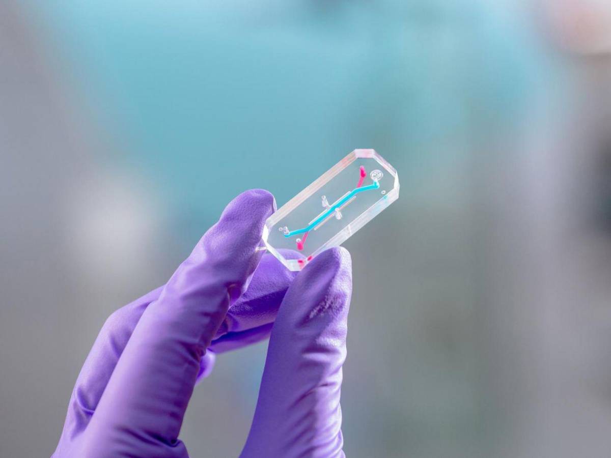 Artemis II: 15 datos clave del histórico regreso del ser humano a la Luna tras más de 50 años