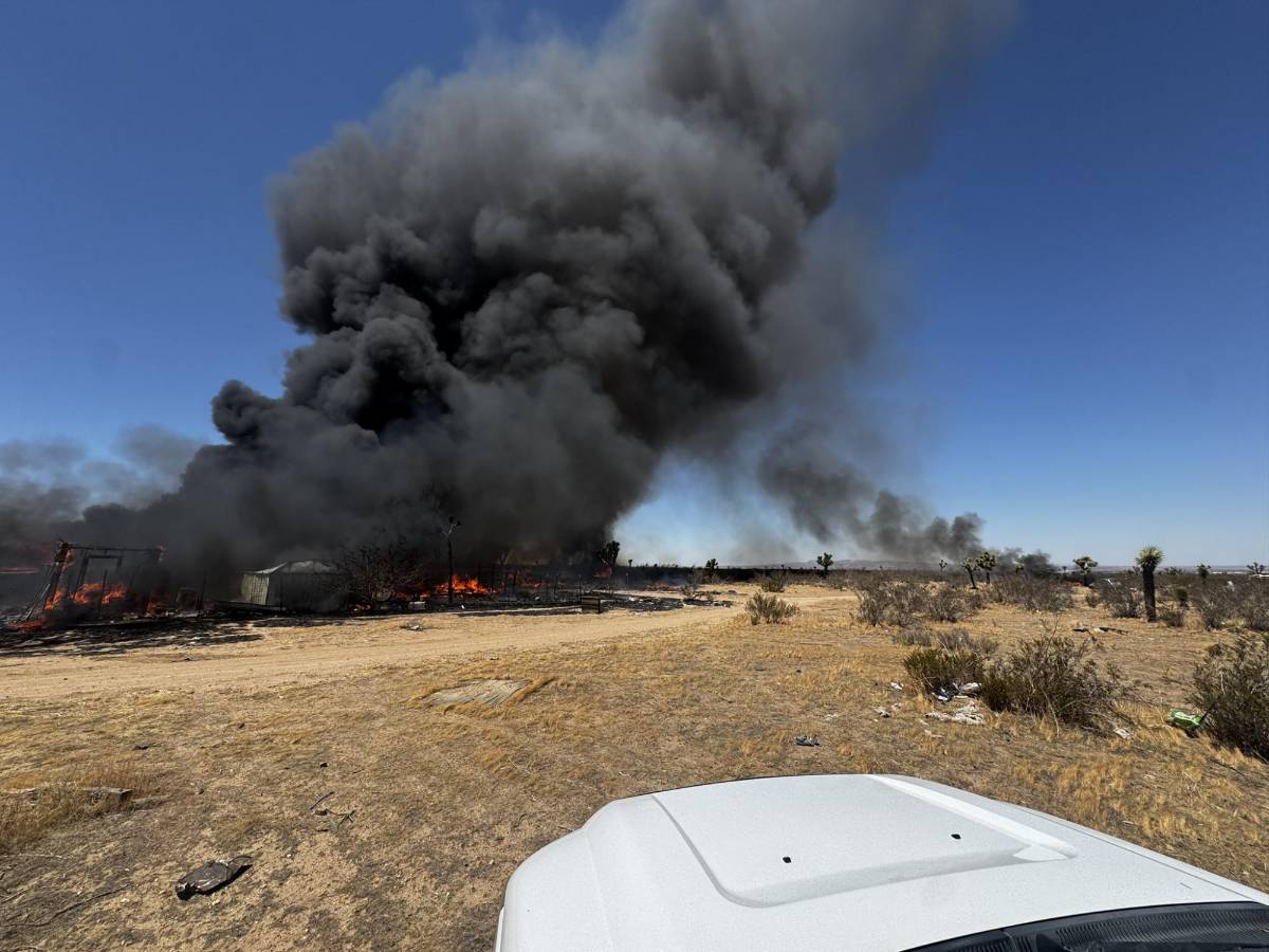 Dos incendios forestales avanzan en el sur de California