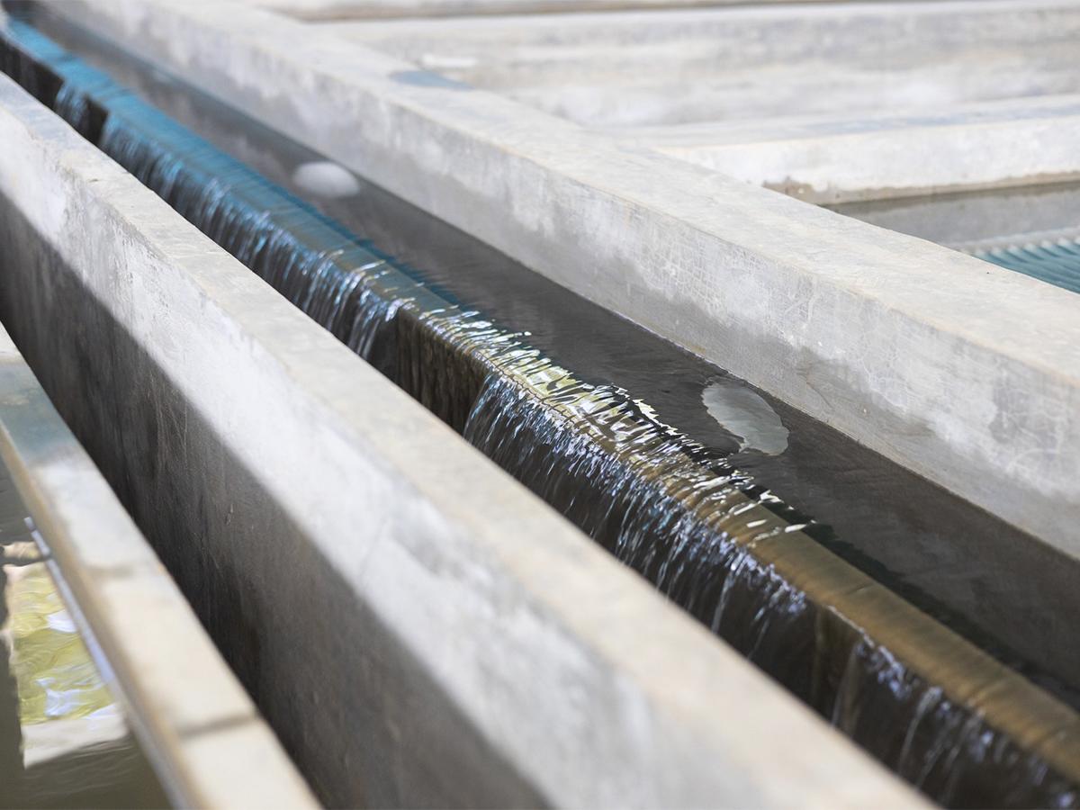 Innovador proyecto de planta potabilizadora en San Francisco de Becerra, Olancho