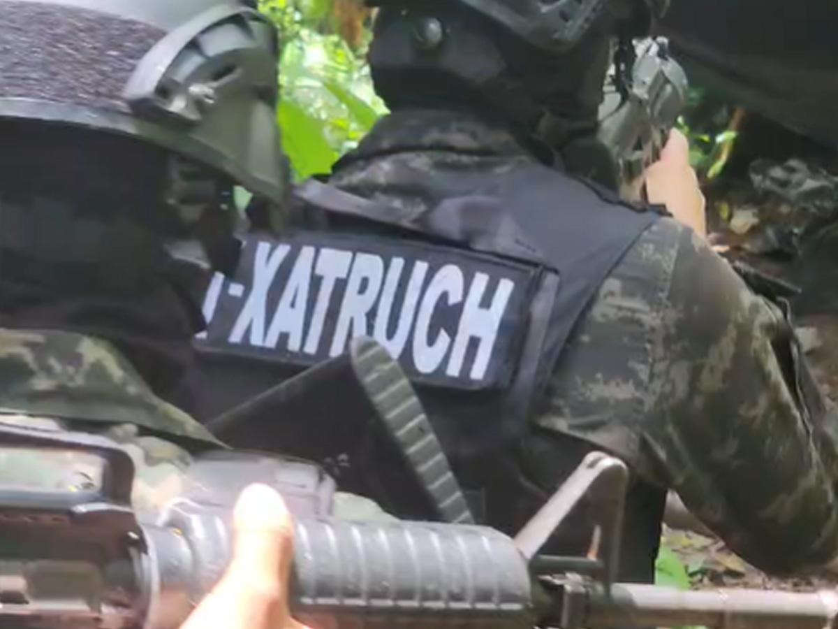Localizan más de 22,000 arbustos de coca y un“picadero” en Cusuna, Colón