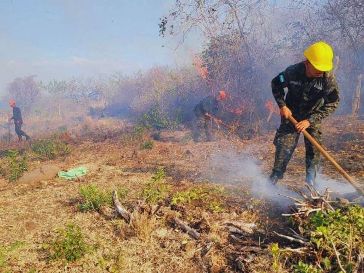 Siete días de fuego: 80 hectáreas de bosque fueron arrasadas en el sur de Lempira