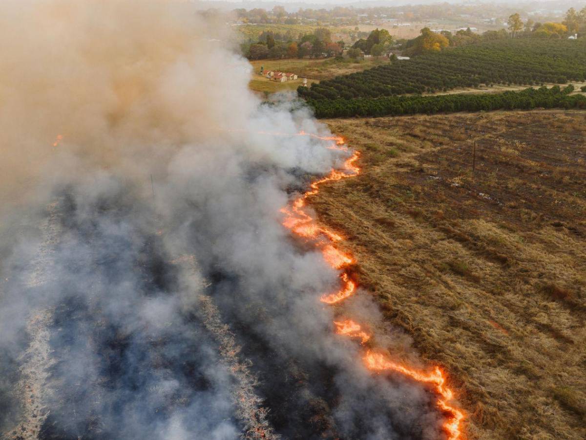 Fenómeno de El Niño ya se formó: NOAA advierte que se fortalecerá
