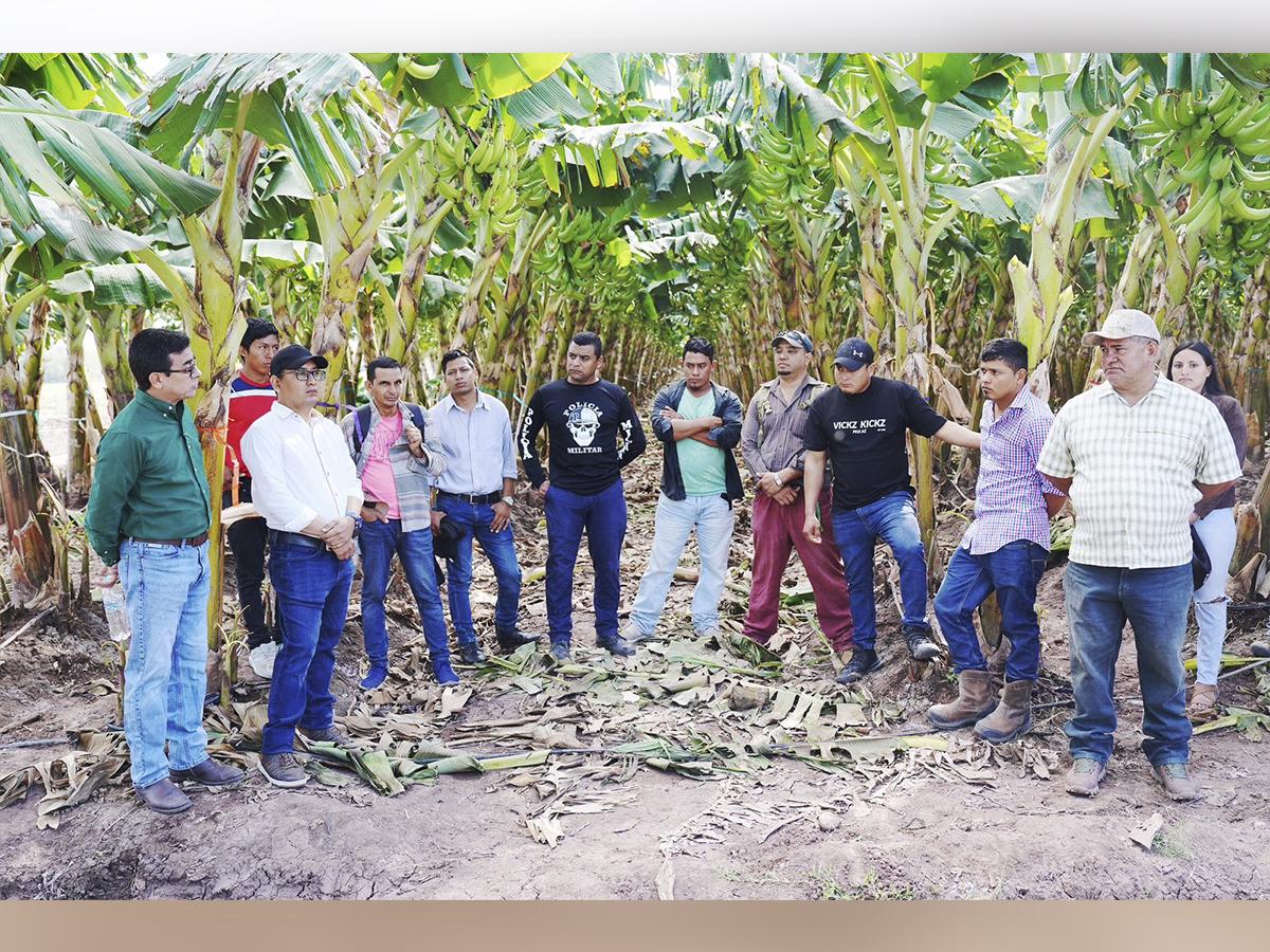 Banco Lafise ha otorgado líneas de crédito a nuevos agricultores que antes no contaban con este tipo de apoyo.