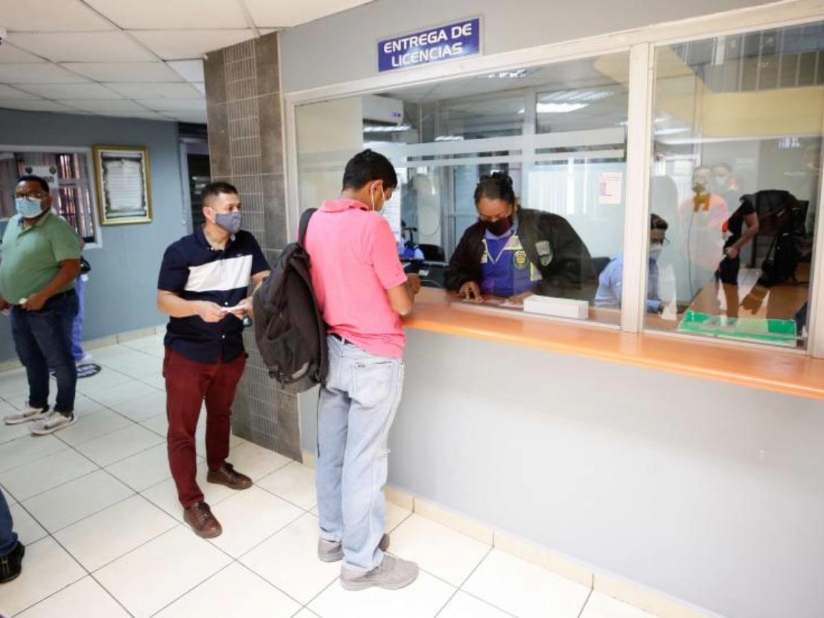 Solo 10 licencias de conducir entregan al día en El Progreso