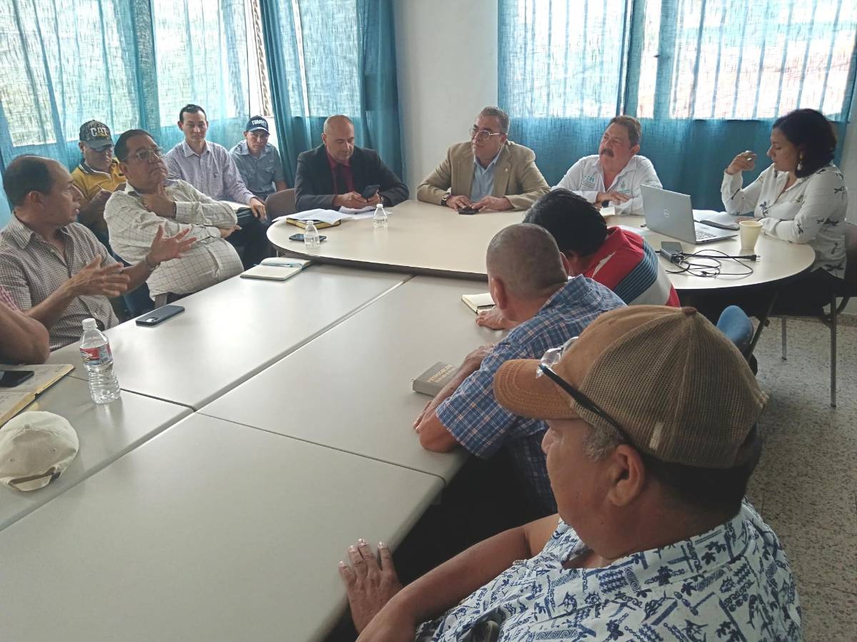 Fijan precio a la libra de aceite de cocina