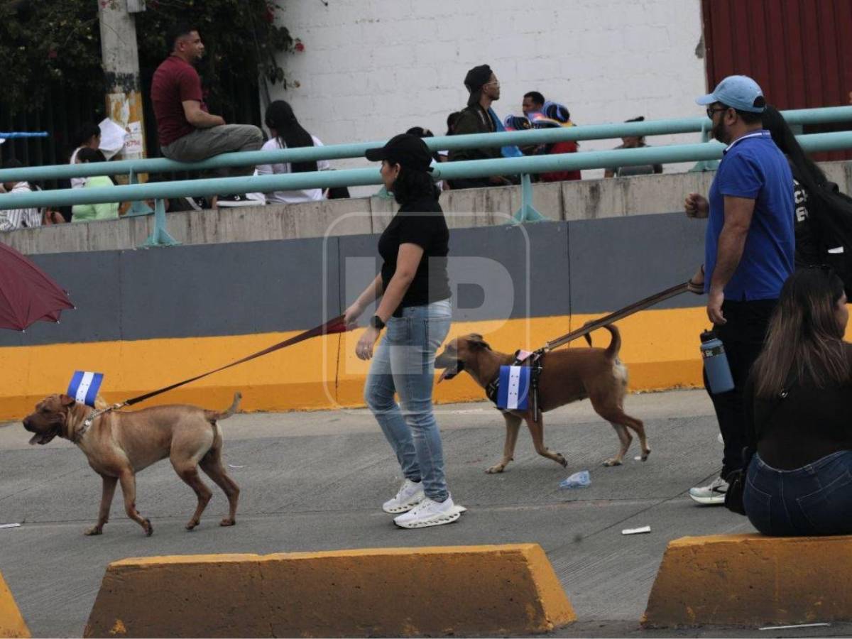 Sorpresivo saludo, abuela abnegada y guapa maestra: lo que no se vio de los desfiles en Honduras