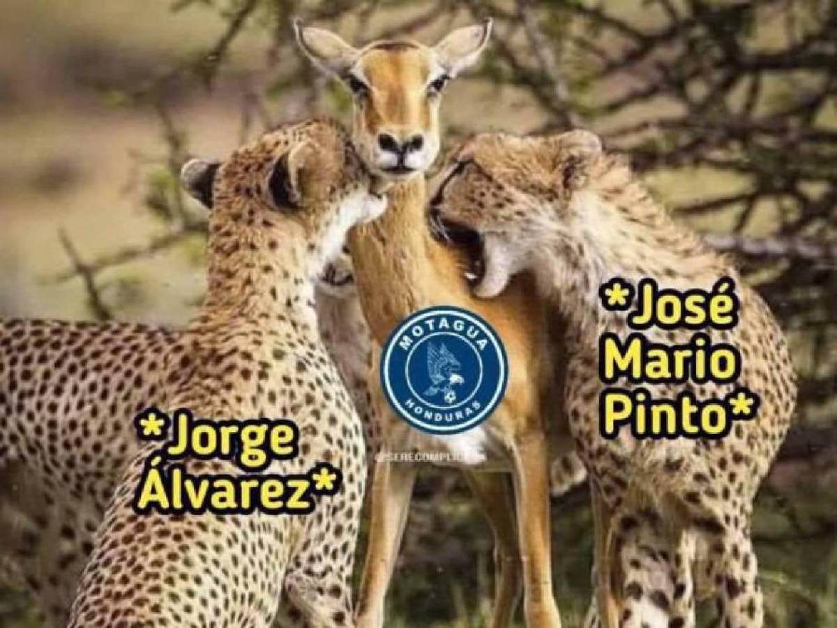 Burlas a Motagua: los memes que dejó la derrota ante Olimpia en el clásico
