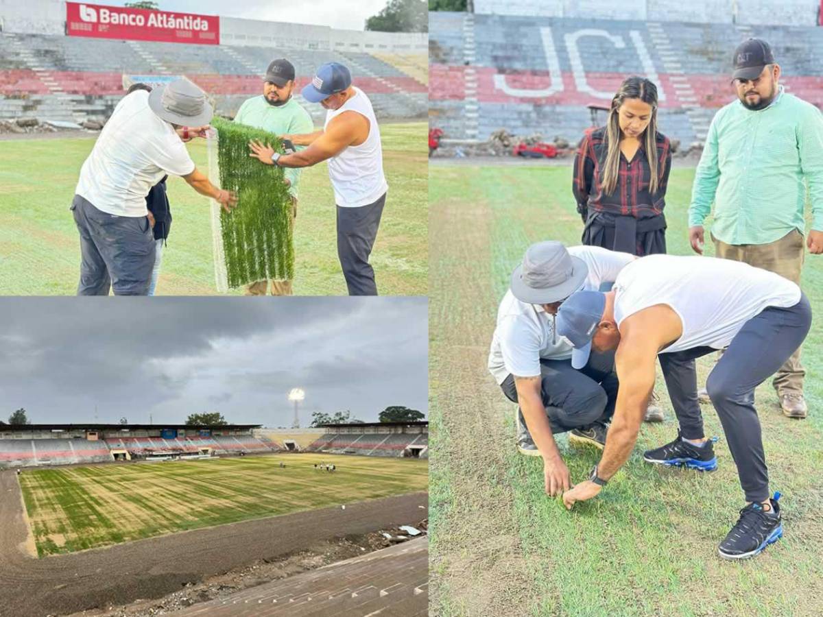 En fotos: los nuevos avances de la nueva grama híbrida del estadio Ceibeño