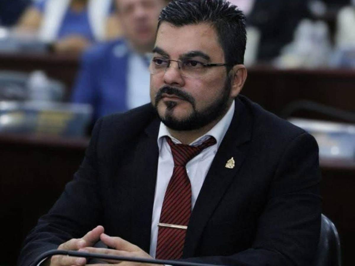 Diputado de Libre a Nasralla: “Mel es arquitecto en política; usted, ingeniero sin saber de política”