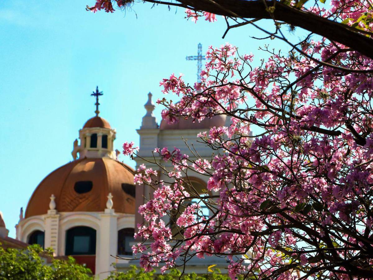 Más de 30 colonias estarán sin energía el domingo en San Pedro Sula
