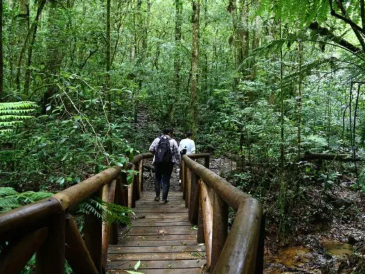 Destinos para realizar actividades al aire libre en la Semana Morázanica 2026