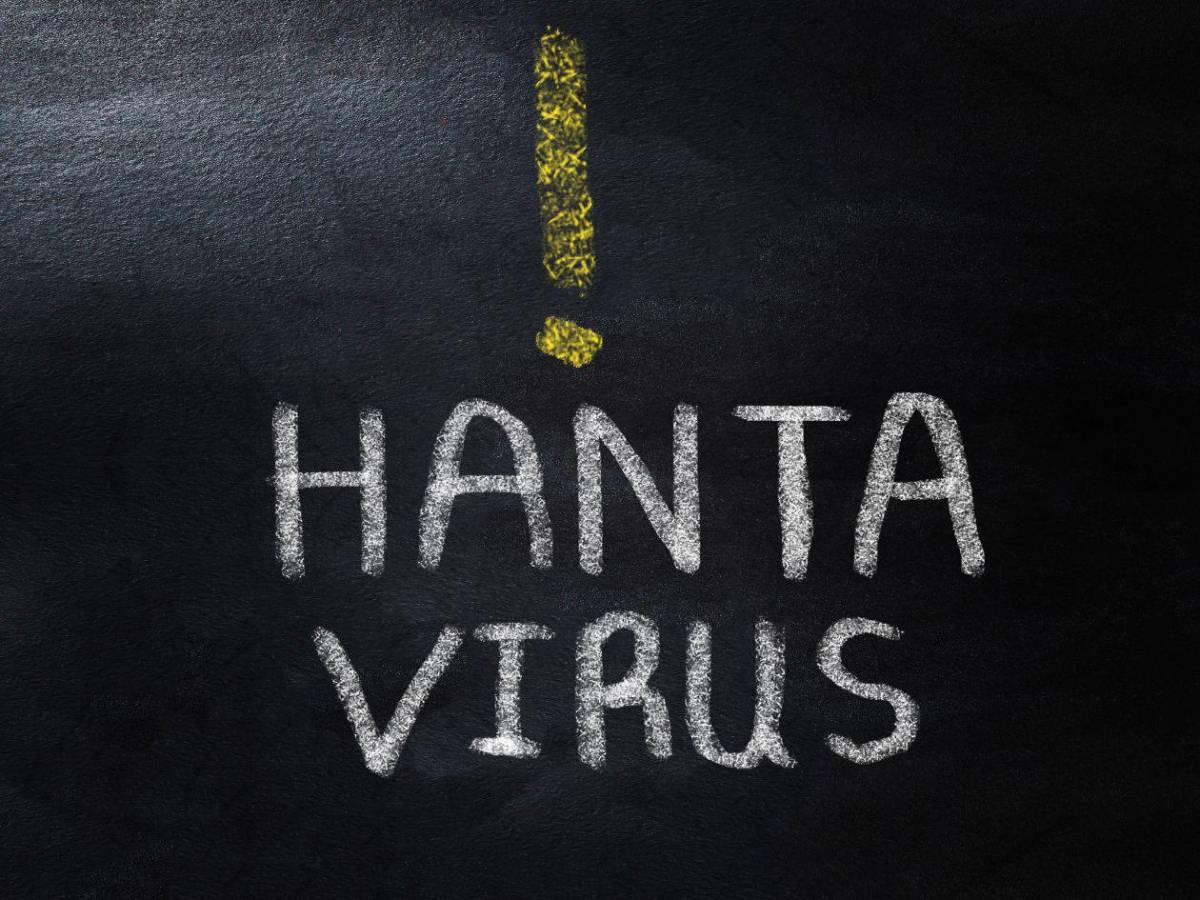 Hantavirus: ¿Qué se sabe de los nueve casos sospechosos?