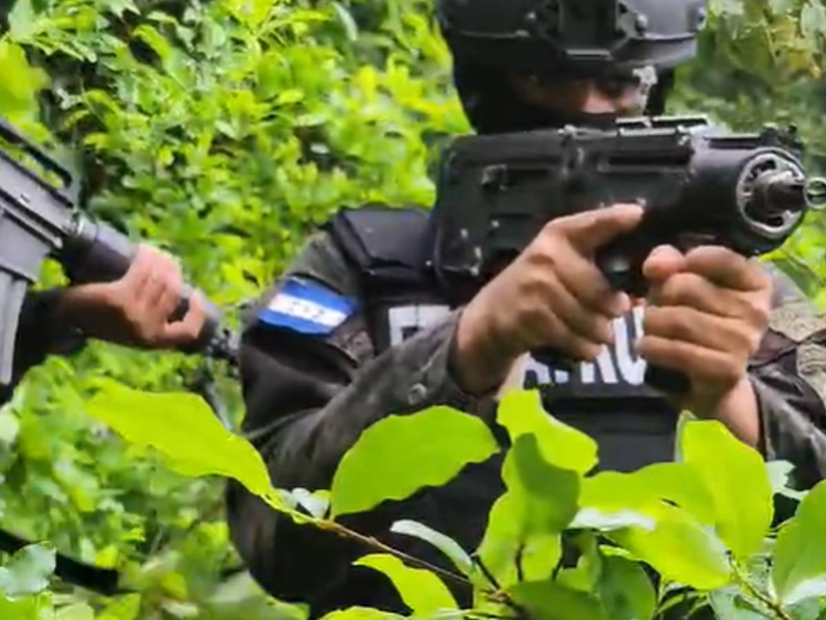 Localizan más de 22,000 arbustos de coca y un“picadero” en Cusuna, Colón