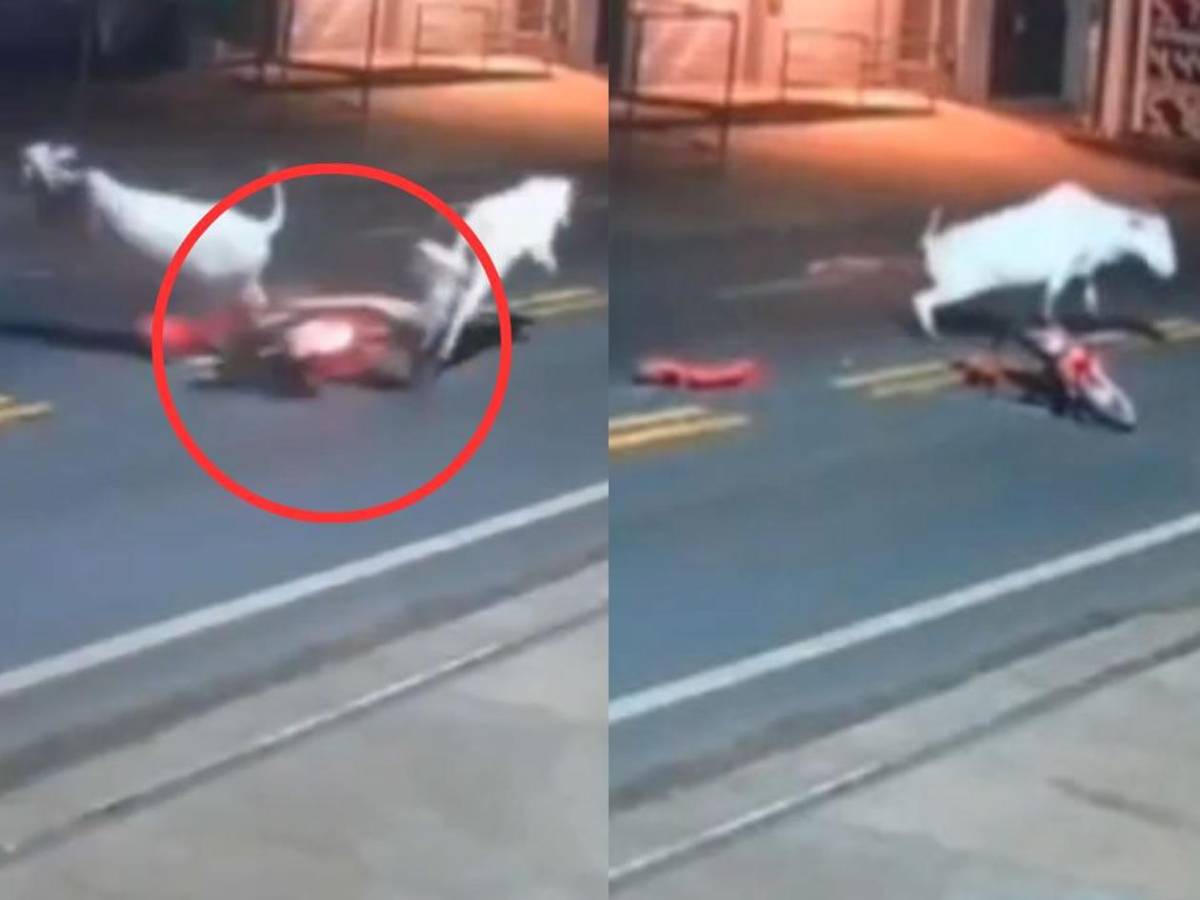 Futbolista muere en terrible accidente con una vaca: venía de festejar el cumpleaños de su papá