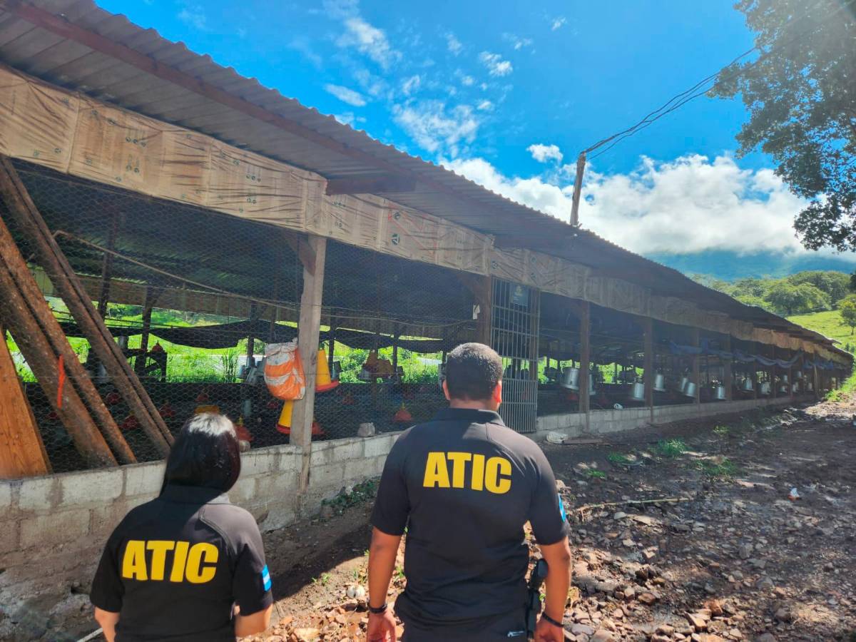 En tres alcaldías buscan registros de bienes de exalcalde