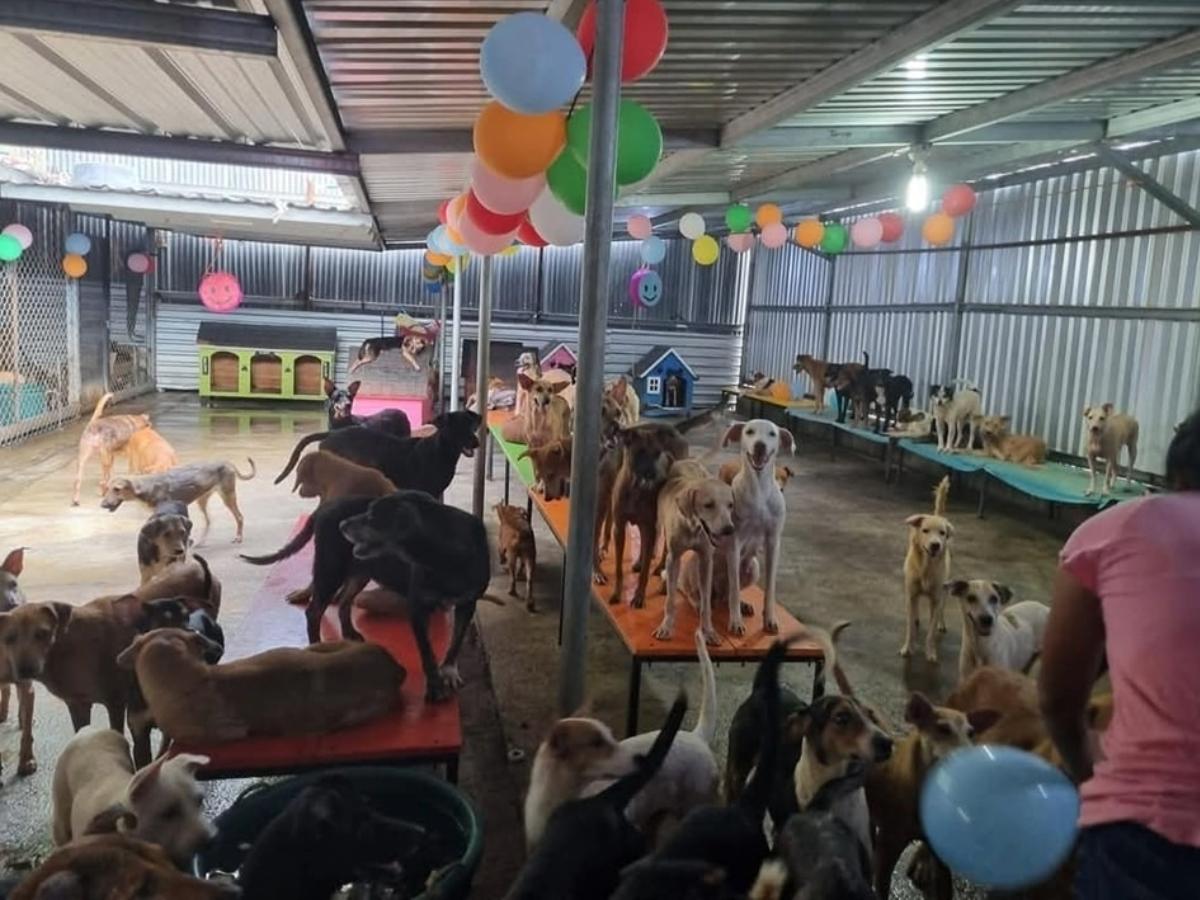 Refugio “Amor y Abrigo” anuncia que podría cerrar