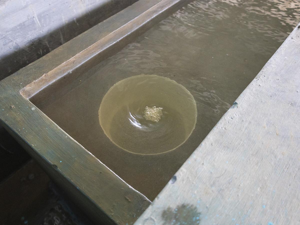 La inversión de más de doce millones de lempiras en la planta “Agua Clara” refuerza el compromiso de mejorar la calidad de vida en San Francisco de Becerra.