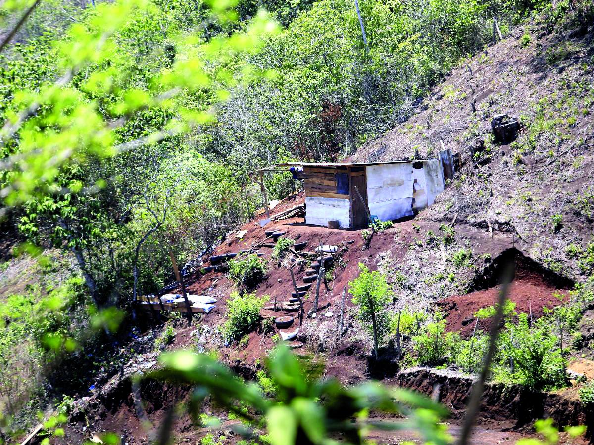 Invasores se adueñan de tierras incautadas y zonas protegidas