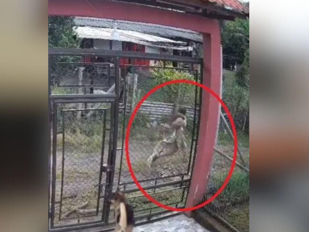 El pastor estaba poseído por el Diablo”: iglesia pide misericordia