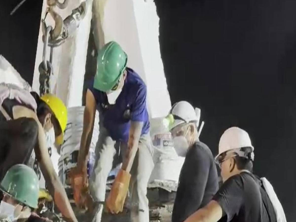 Antonio, el perro rescatado de los escombros en Colombia, alimenta la esperanza de una familia