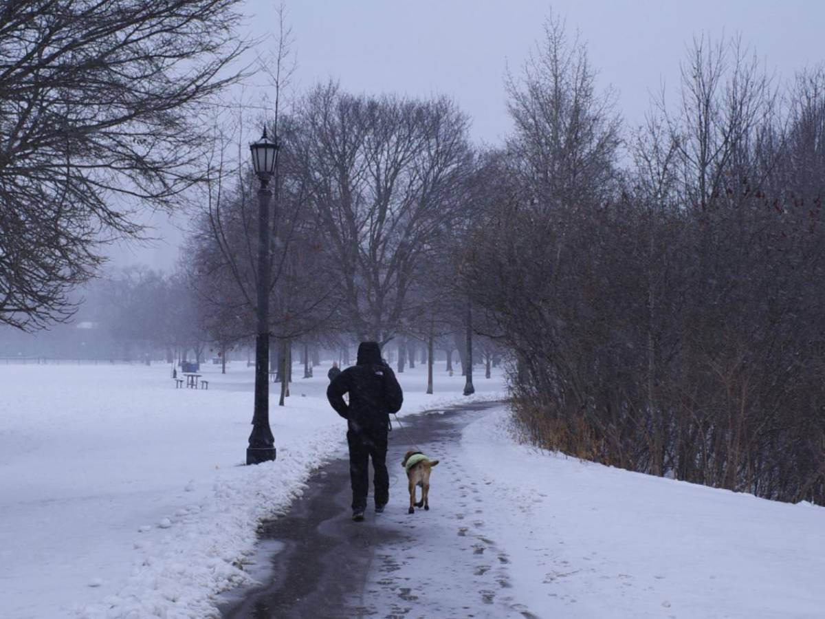 Sede del Mundial 2026 se le rebela a Donald Trump: Toman decisión sobre el ICE