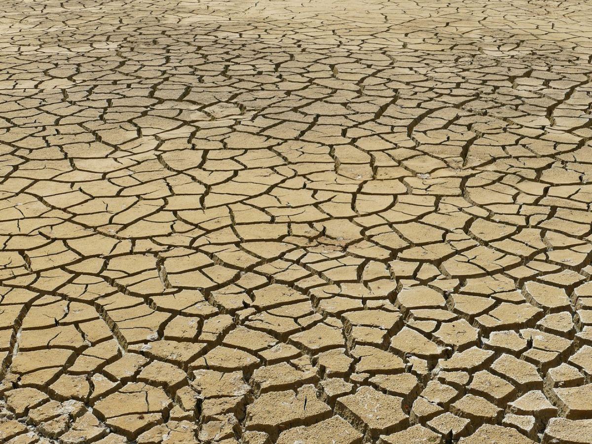 Consejos para la adaptación al cambio climático en Honduras