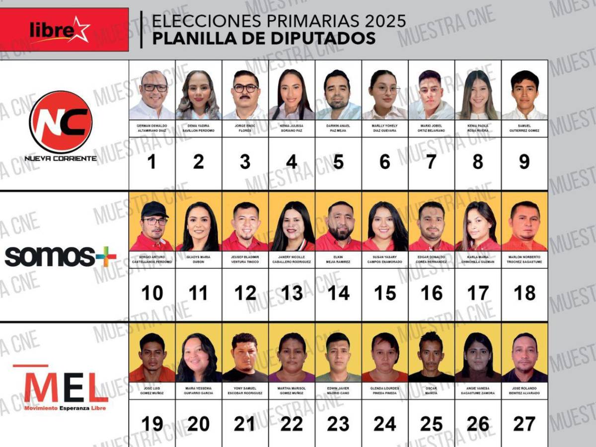 Conozca los aspirantes a diputados por Santa Bárbara