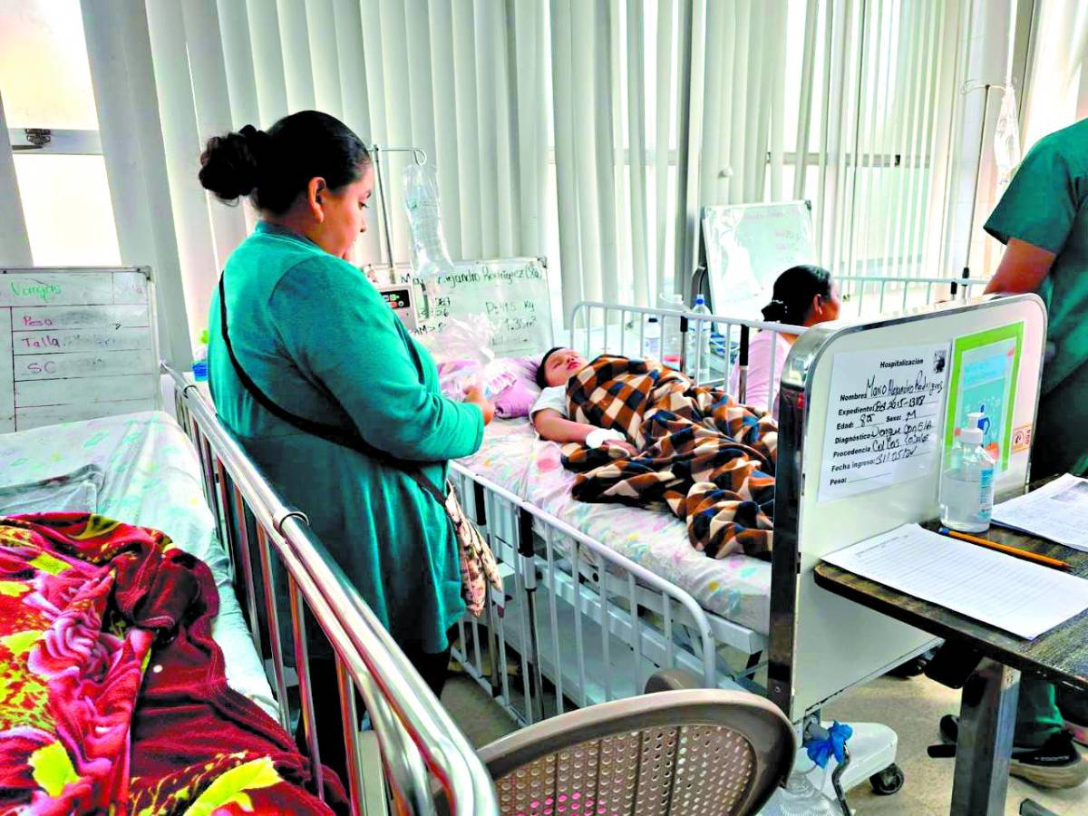 Cifra de fallecidos por dengue es de 141 en menos de ocho meses