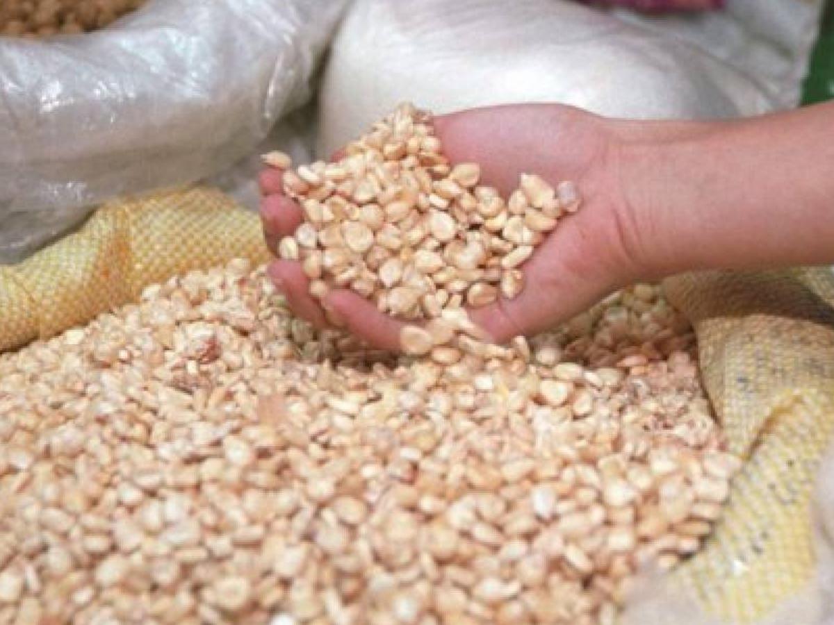 Precio del quintal de maíz blanco en la agroindustria de Honduras