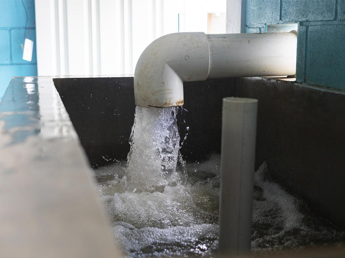 La implementación del modelo innovador de la planta “Agua Clara” destaca la importancia de soluciones sostenibles y eficientes