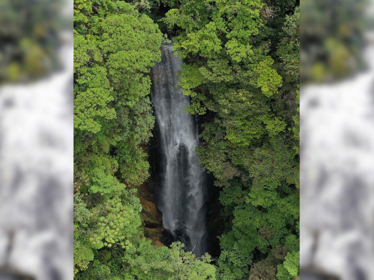La cascada está en una zona de clima frío.