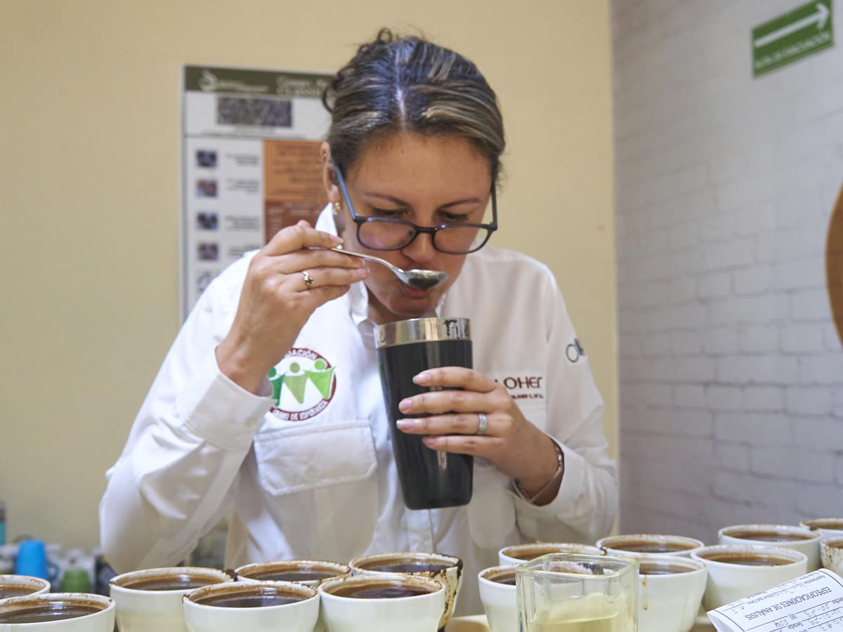 Experta catadora de café certifica la calidad del mismo.