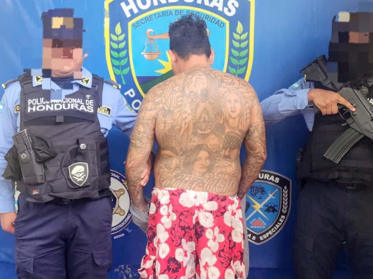 Capturan en Colón a alias “Machín”, integrante con más de 20 años en la MS-13