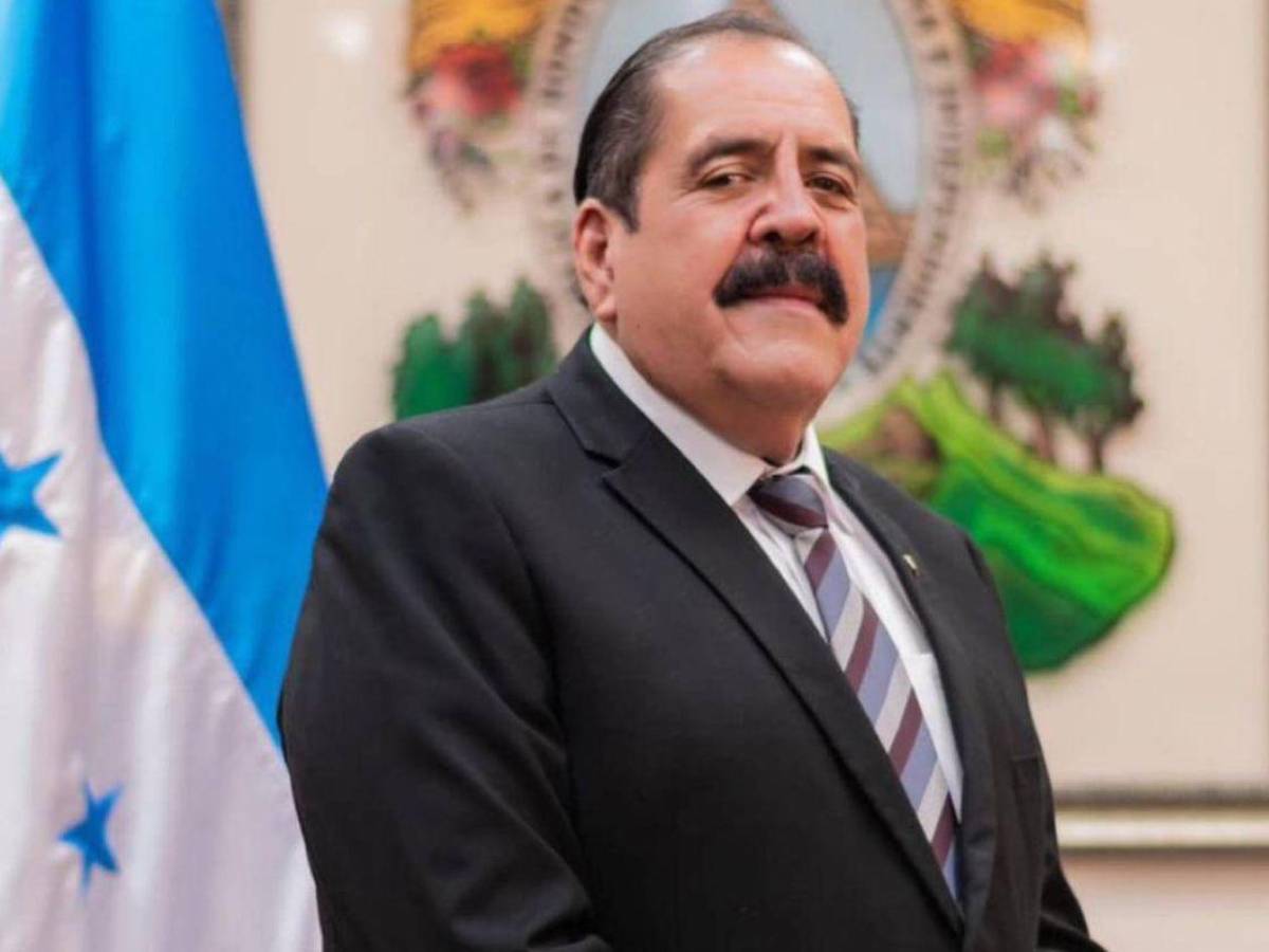 Bella financiera del Congreso Nacional se viraliza tras defender a Carlón