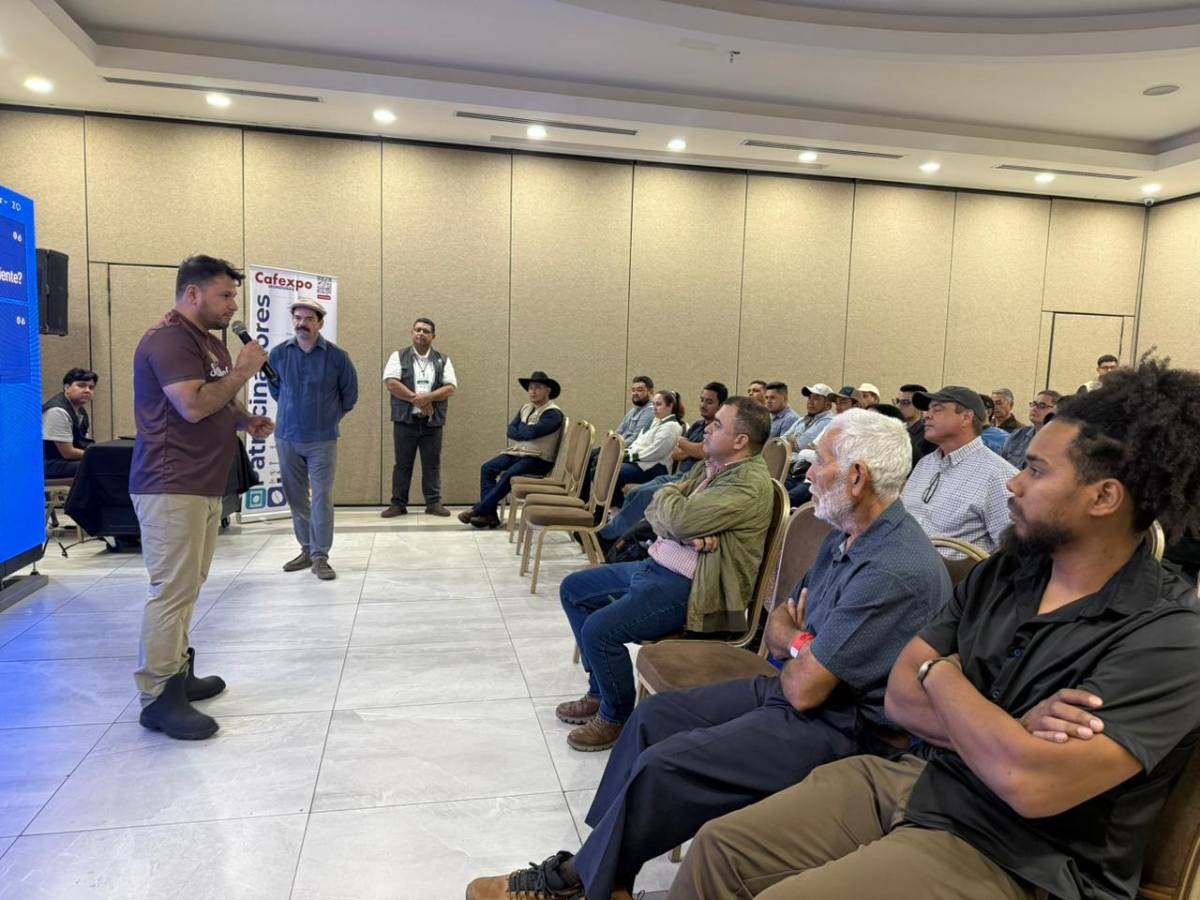 Cafexpo 2026 reúne a la industria cafetalera en Honduras
