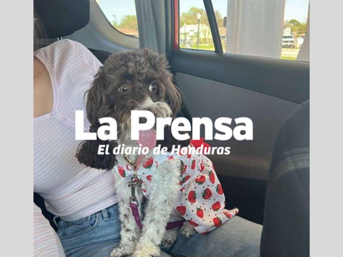 Hondureña es detenida por ICE al salir de su primera cita para residencia