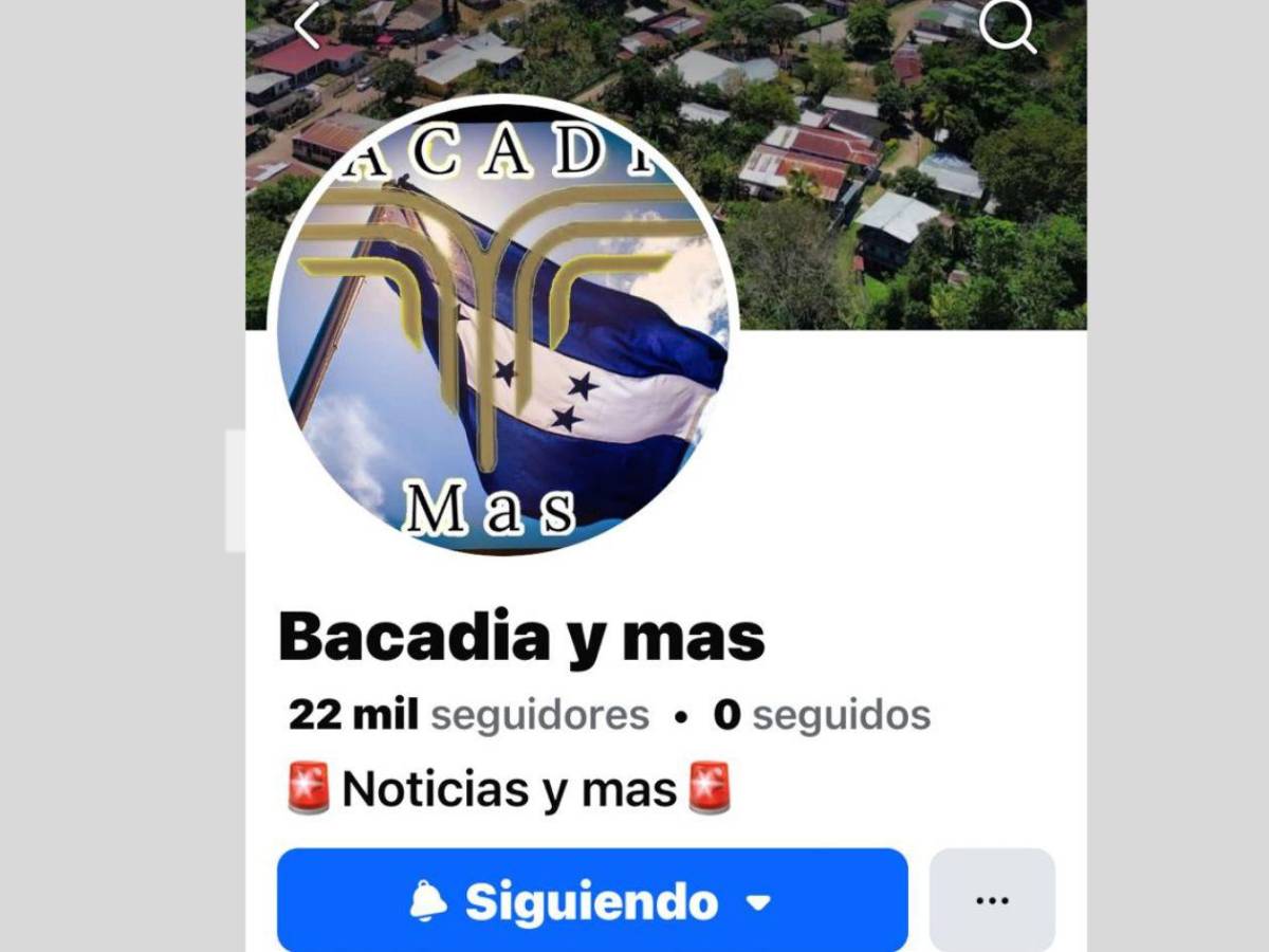 Periodista hondureño sale a buscar tomas desde la montaña y termina mordido por serpiente