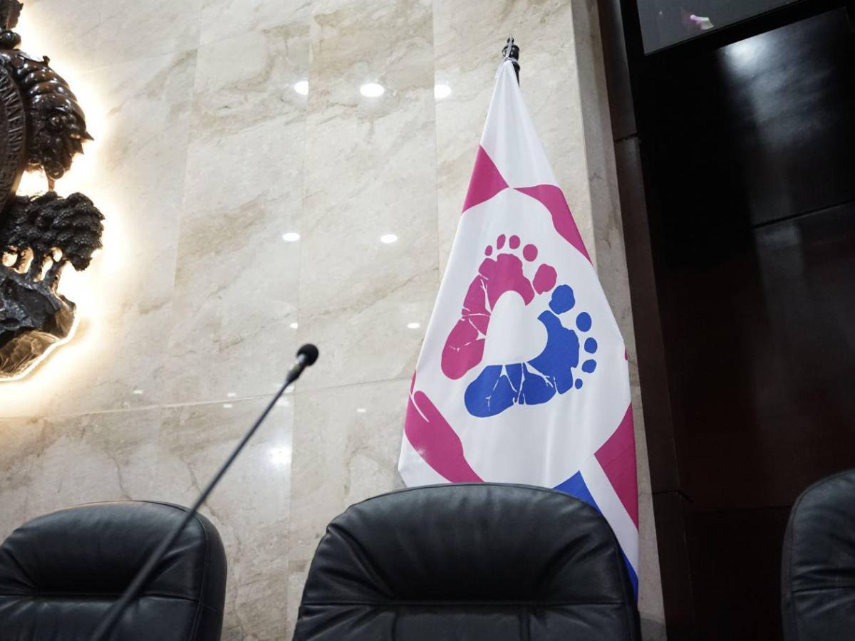 ¿Por qué hay una bandera blanca en el Congreso? Tomás Zambrano explica