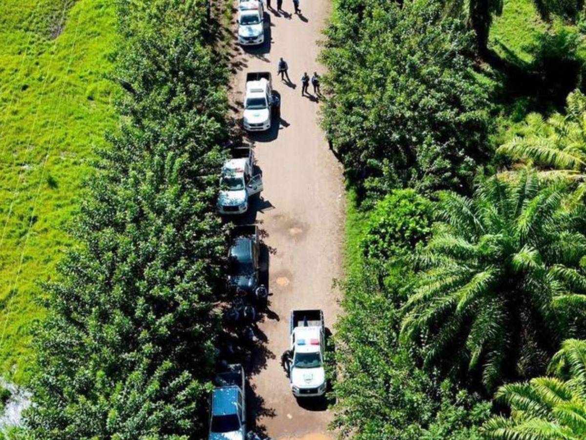 Tensión en desalojo de más de 200 familias campesinas en Tocoa