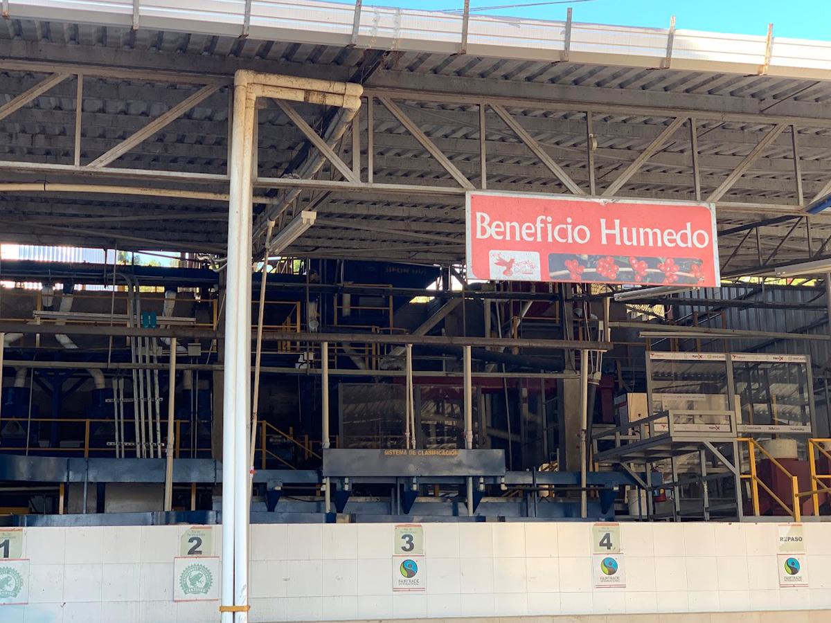 El beneficio húmedo en la Finca Cafetalera Capucas es una fase crucial en la producción del café, donde se lleva a cabo el procesamiento de los granos recién cosechados para garantizar la máxima calidad en cada taza.